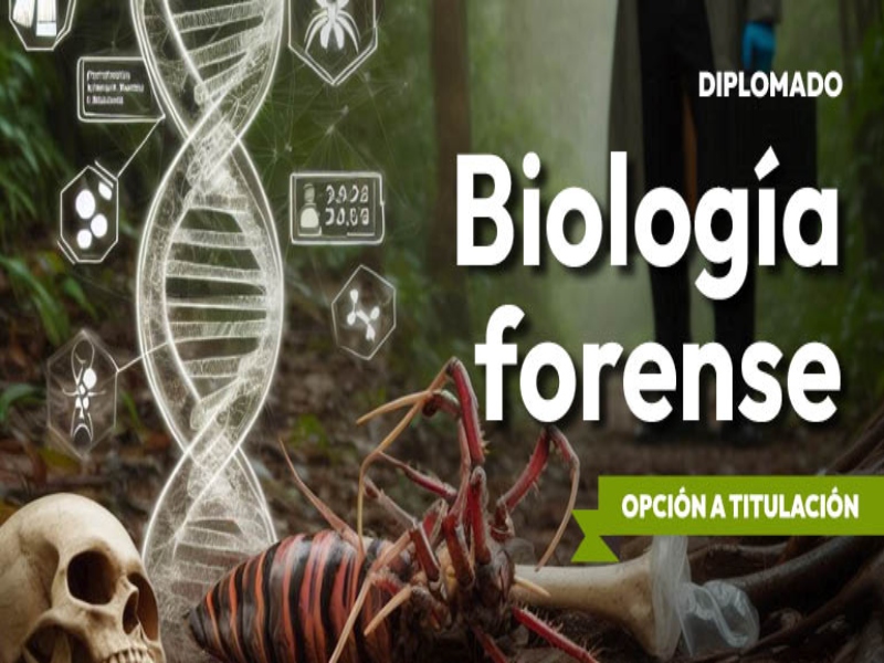 BioForense fesi 2024