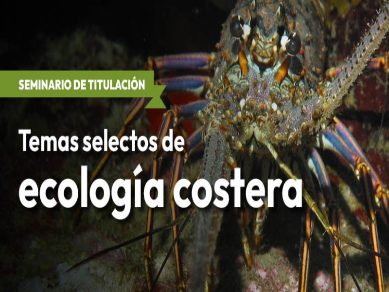 EcologiaCostera fesi 2024