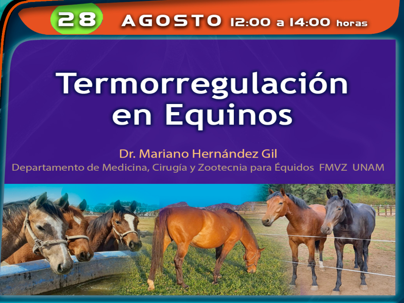 Equinos-fmvz-24