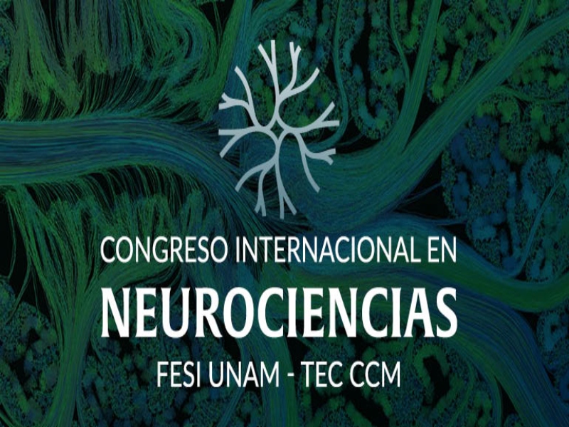 Neurociencias fesi 2024