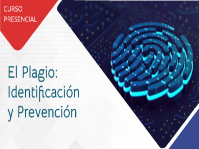 Plagio dgb 2024