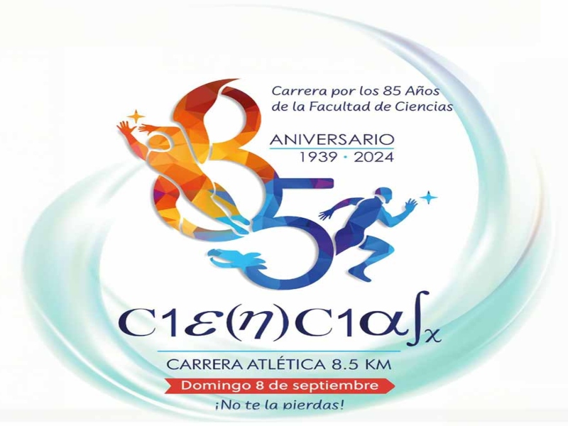 carreraFC-85-fc-24