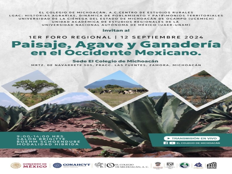 agave-uaer-24