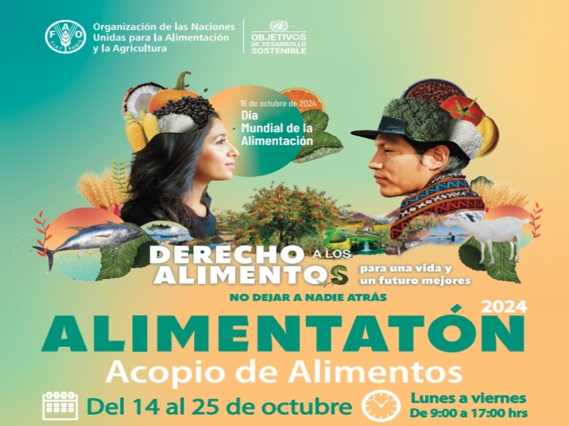 alimentaton-fm-24
