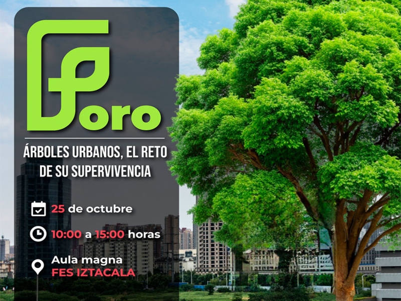 arboles-fesi-24