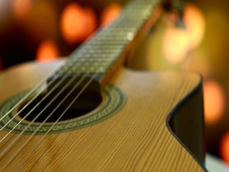 guitarra-fam-24