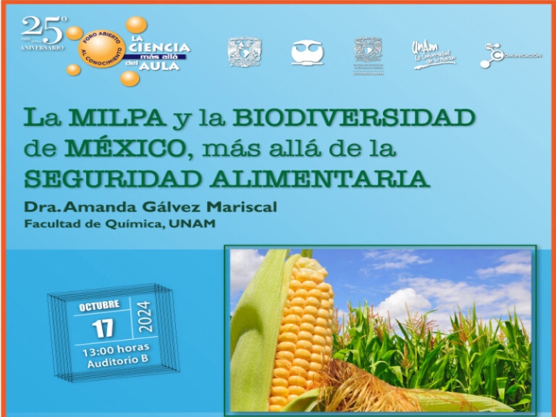 milpa-fq-24
