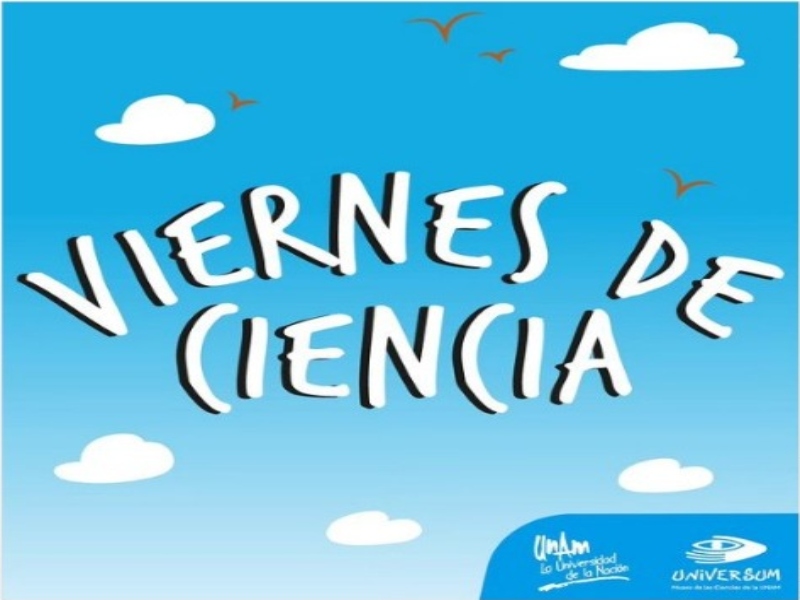 viernes universum 24