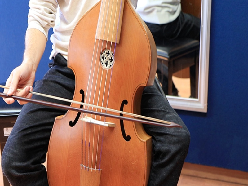 viola-fam-24