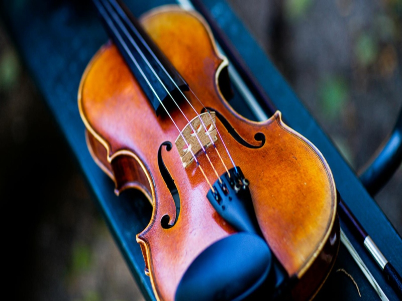violin-fam-24