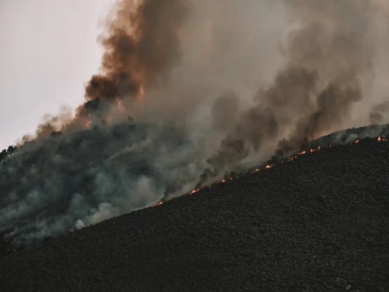 incendios pincc 24