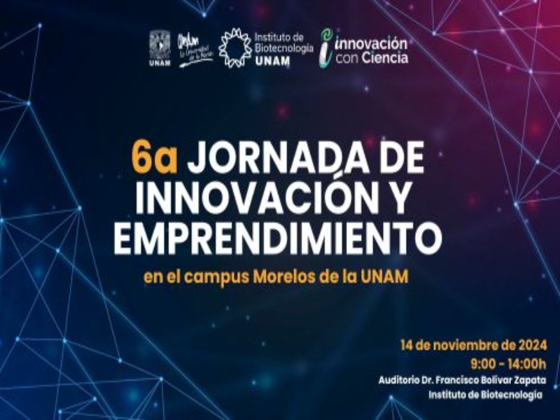 innov ibt 24