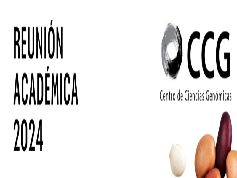reunión académica ccg 24