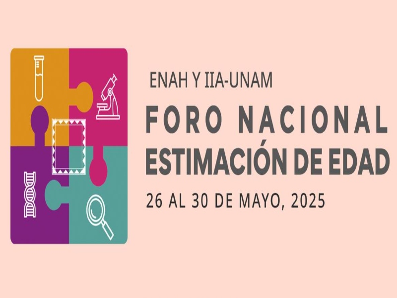 estimacion-iia-25