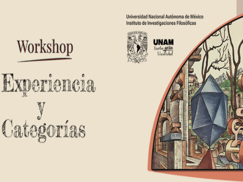 experiencia-categorias-iifs-25