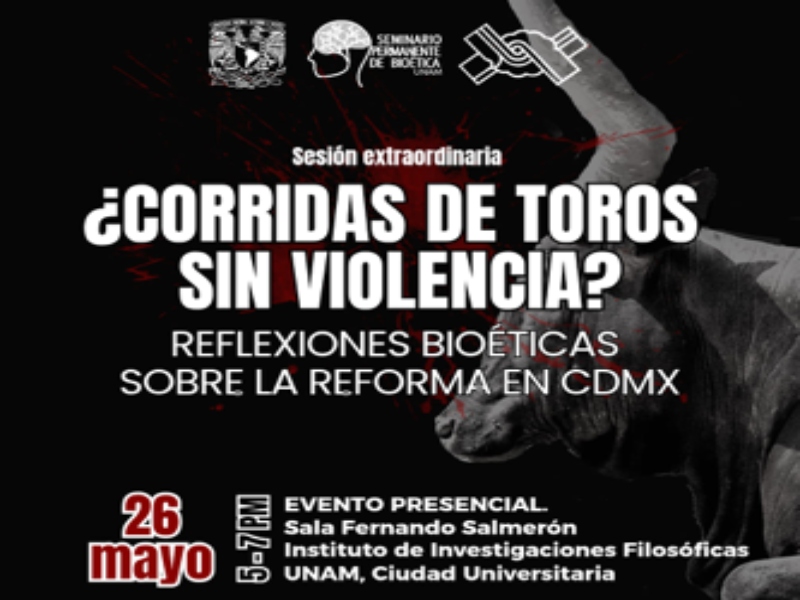 toros-violencia-iifs-25