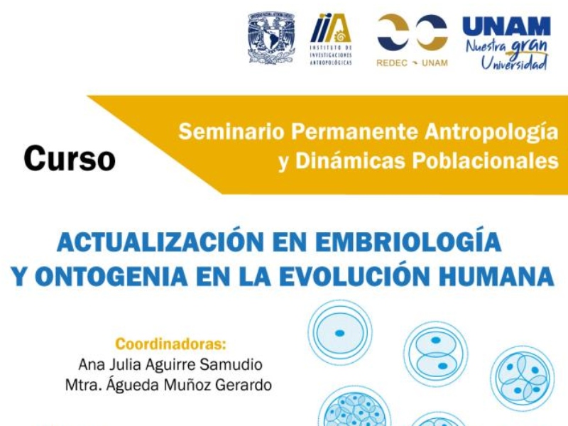 embriologia-iia-25