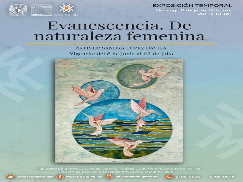evanescencia-mm-25