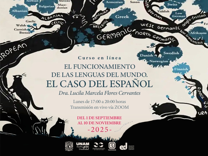 funcionamiento-lenguas-iifl-25