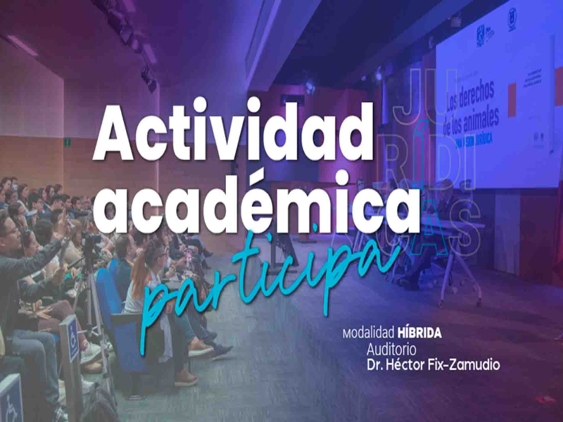 actividad