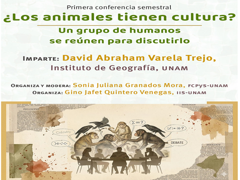 animales-iis-26