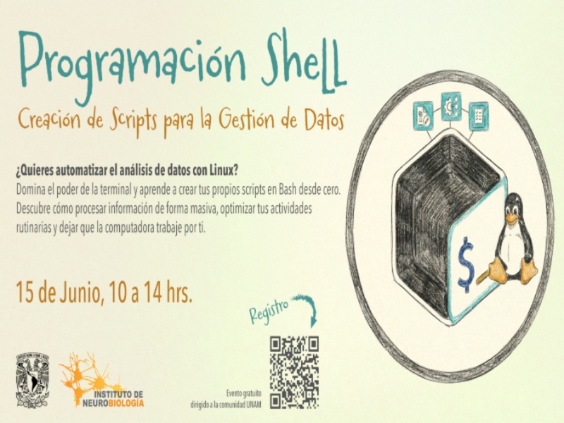 shell-inb-26-1