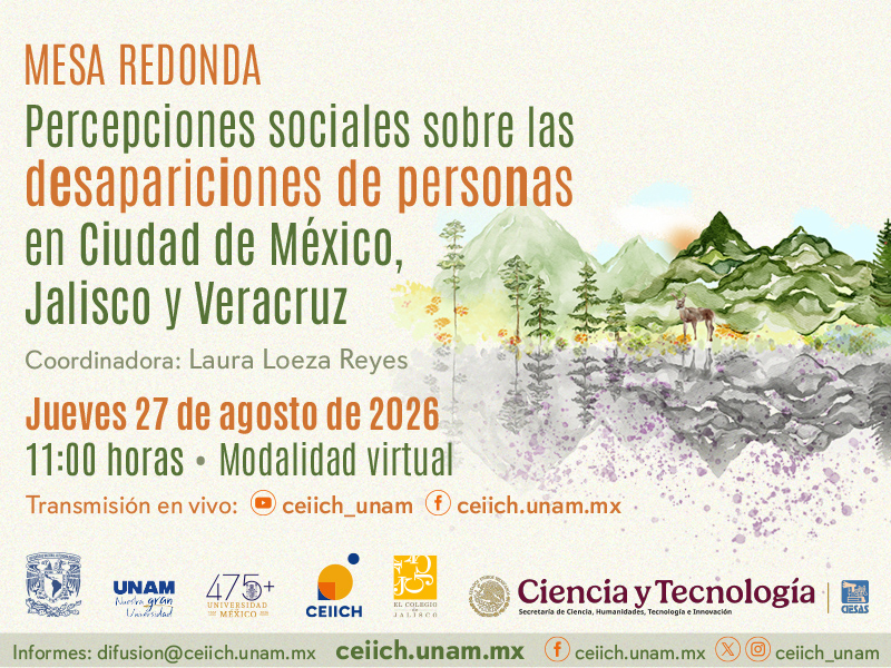 desapariciones ceiich 26